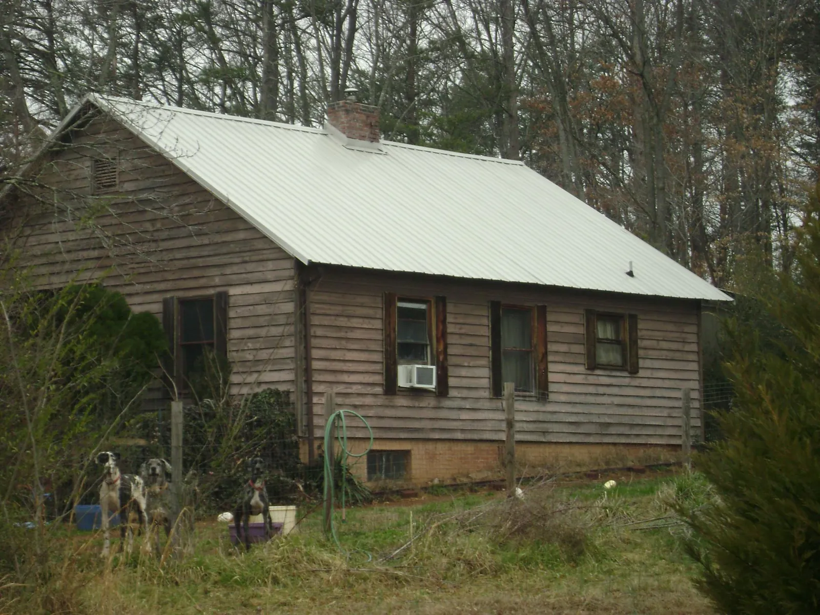 White metal roof on an old wood sided farmhouse, from a Asphalt Shingle Roof Repair job in Marsing